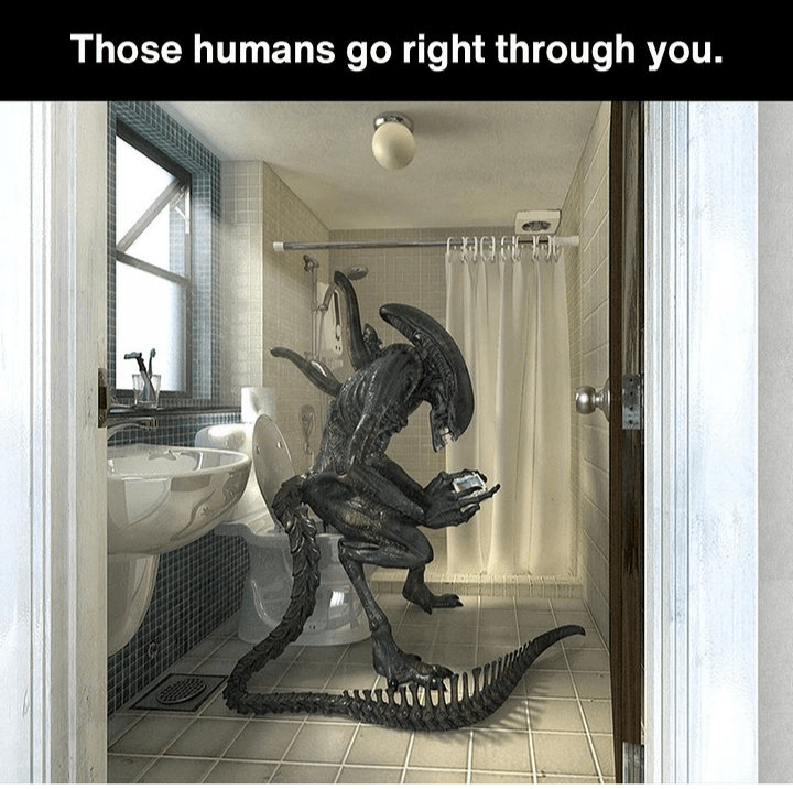 those-humans-go-right-through