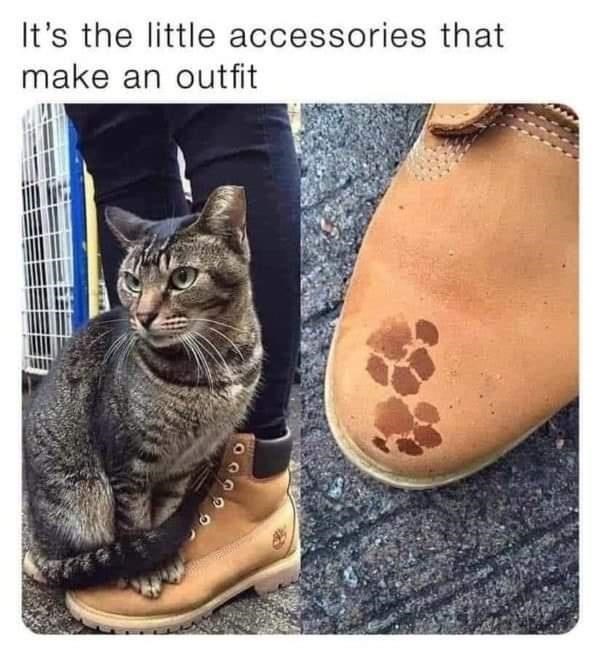 s-little-accessories-make-an-outfit