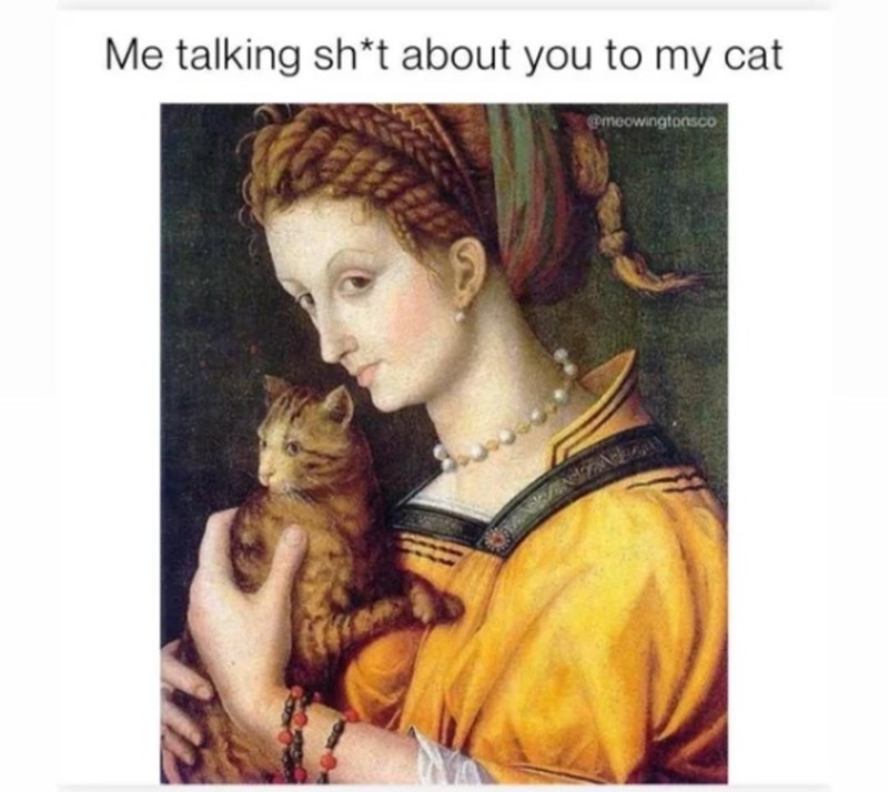 talking-sht-about-my-cat-meowingtonsco