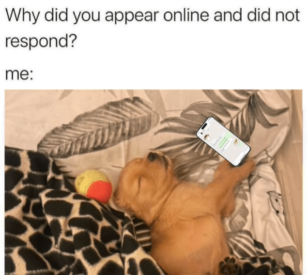 why-did-appear-online-and-did-not-respond