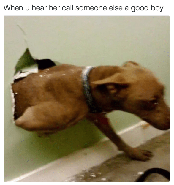 u-hear-her-call-someone-else-good-boy