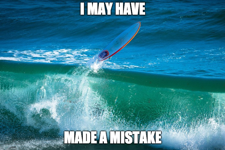 surfingmeme.jpg