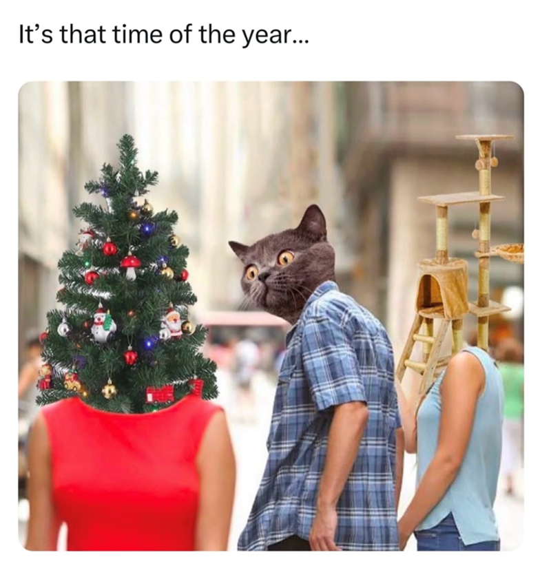 s-time-year