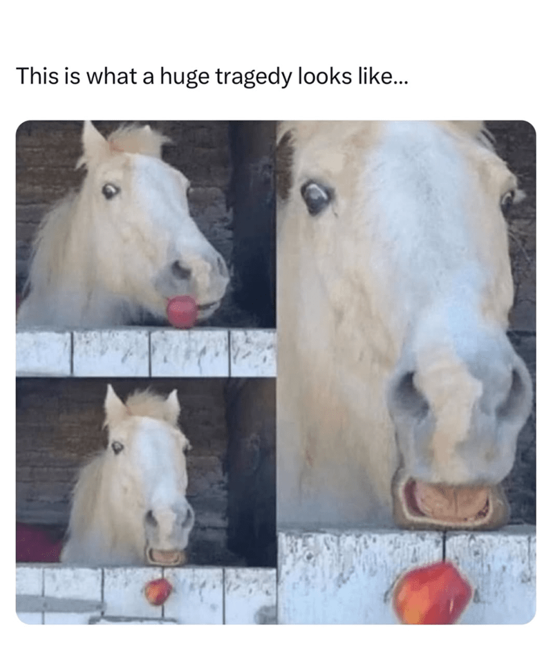 this-is-huge-tragedy-looks-like