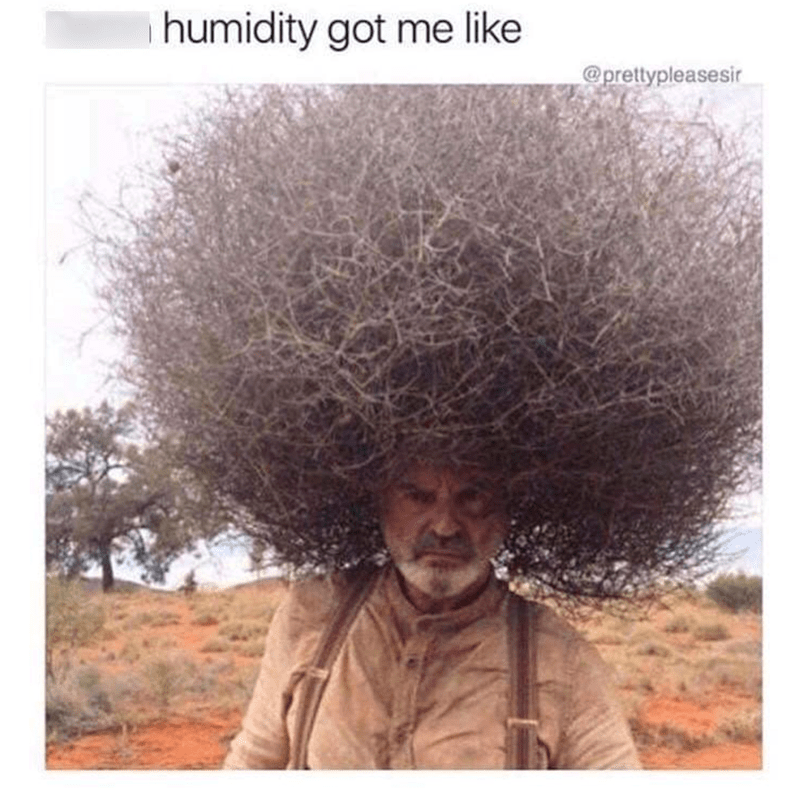 damn-humidity-got-like-prettypleasesir