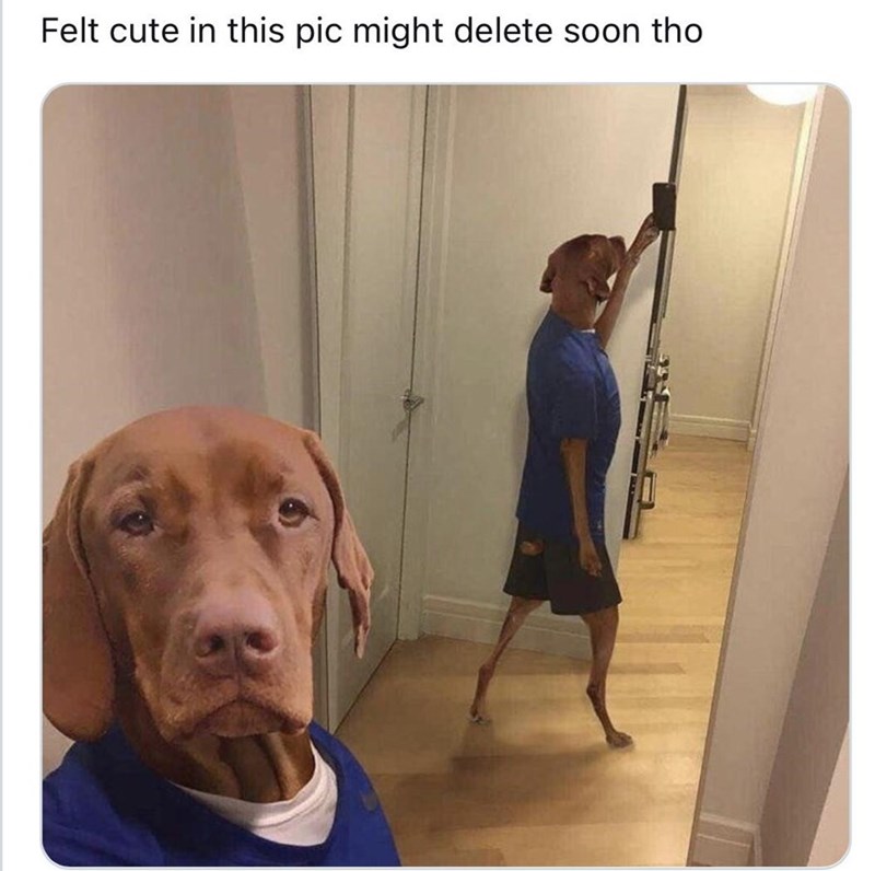 felt-cute-this-pic-might-delete-soon-tho