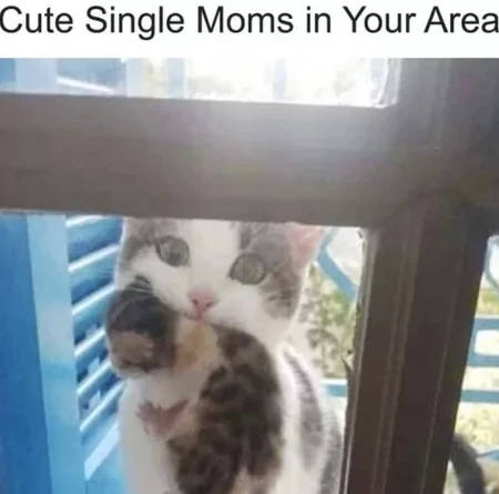 cute-single-moms-area