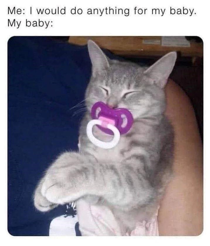 would-do-anything-my-baby-my-baby