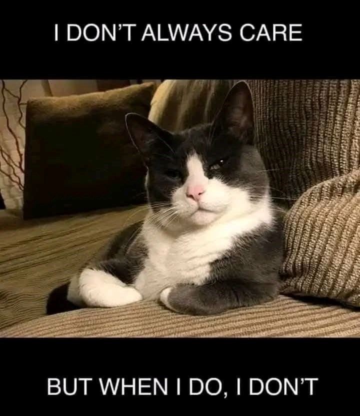 dont-always-care-but-do-dont