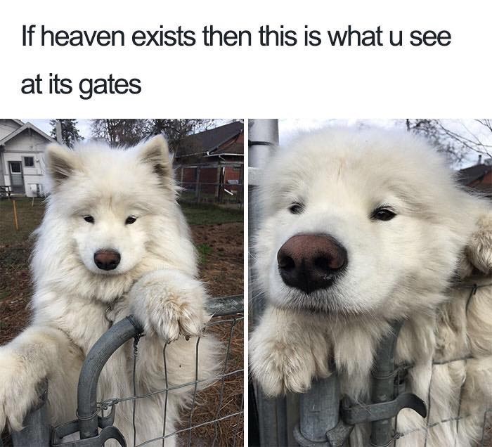 if-heaven-exists-then-this-is-u-see-at-its-gates