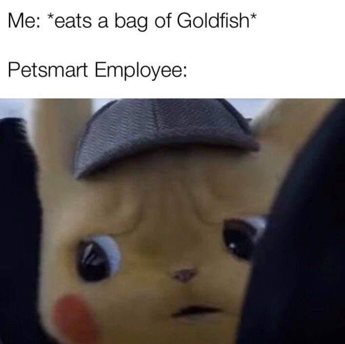 eats-bag-goldfish-petsmart-employee