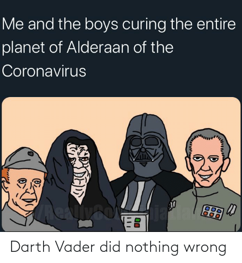 darth-vader-did-nothing-wrong-71475943.png
