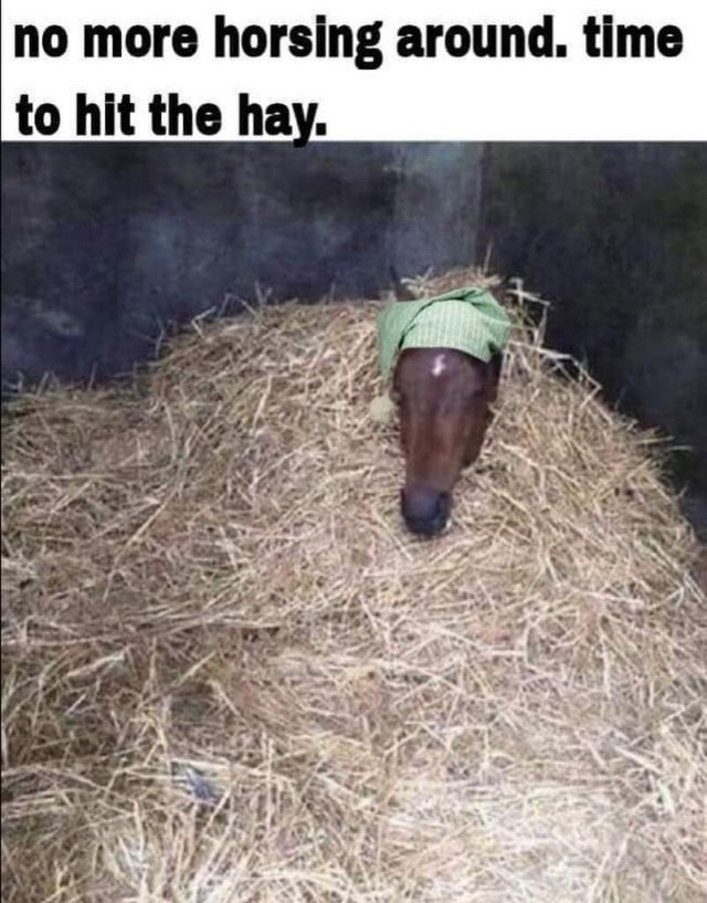no-more-horsing-around-time-hit-hay