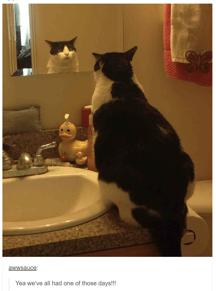 awwsauce-yea-all-had-one-those-days