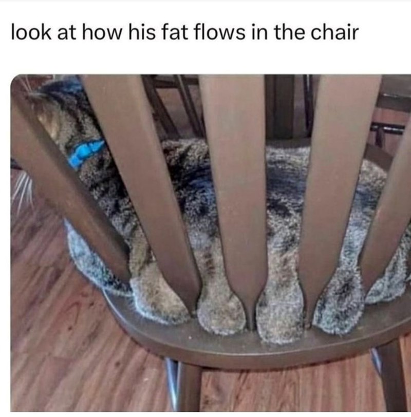 look-at-his-fat-flows-chair