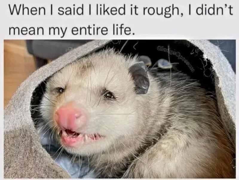 said-liked-rough-didnt-mean-my-entire-life