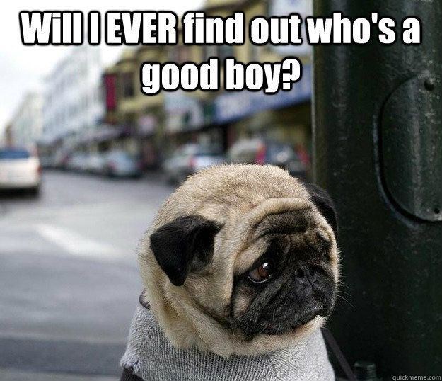 will-ever-find-out-whos-good-boy-quickmemecom