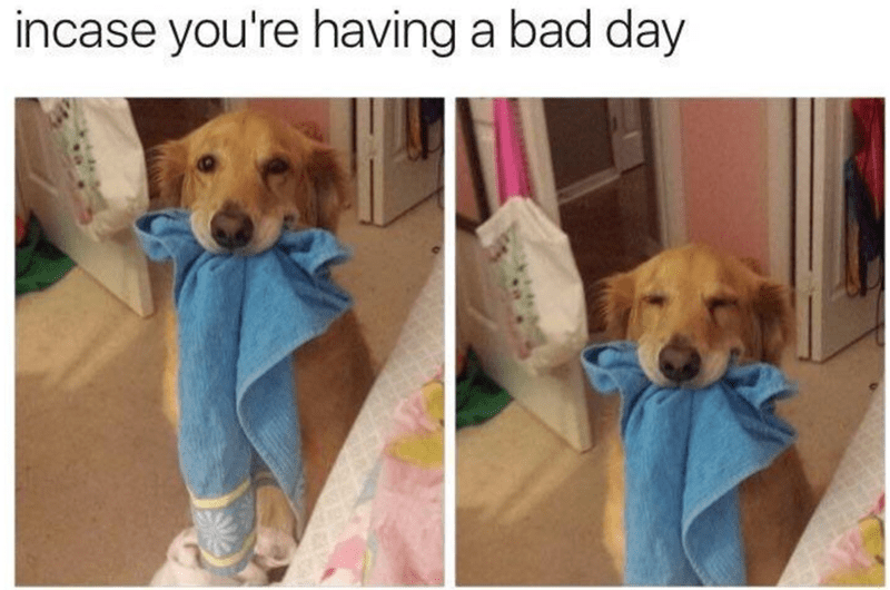 incase-having-bad-day