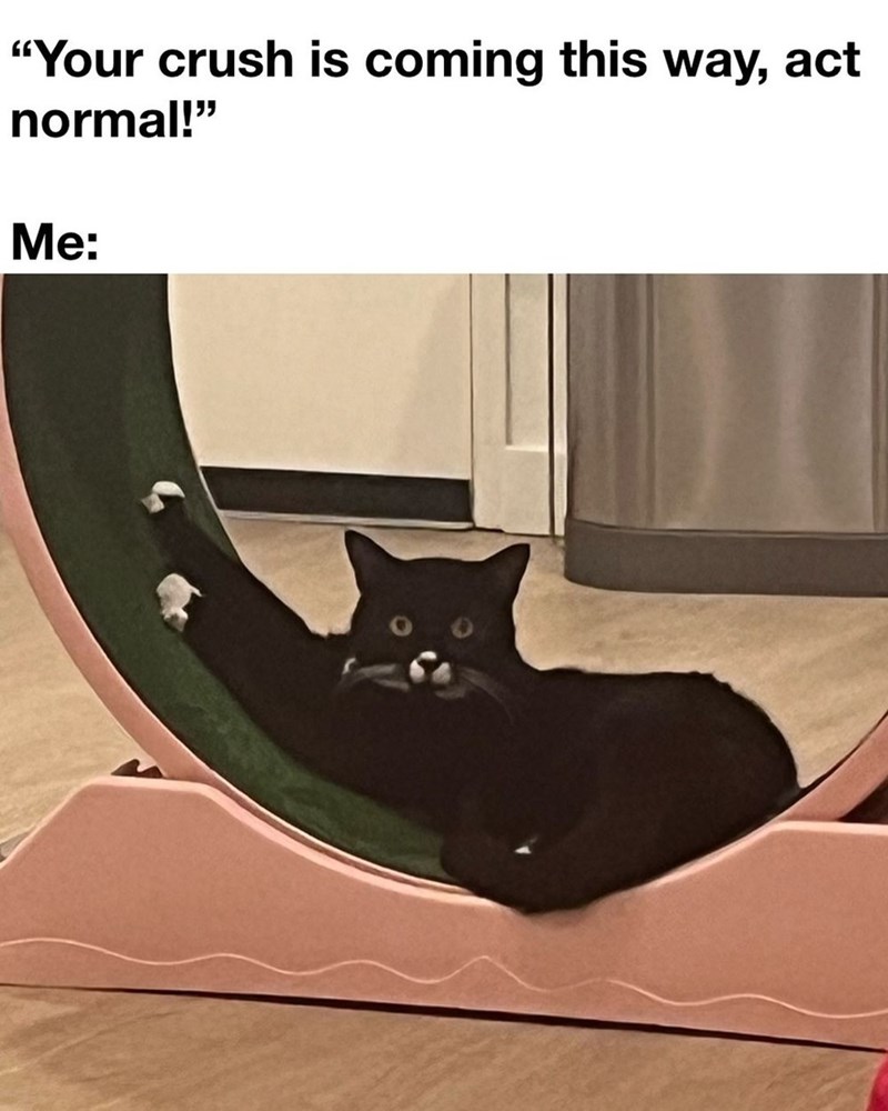 crush-is-coming-this-way-act-normal