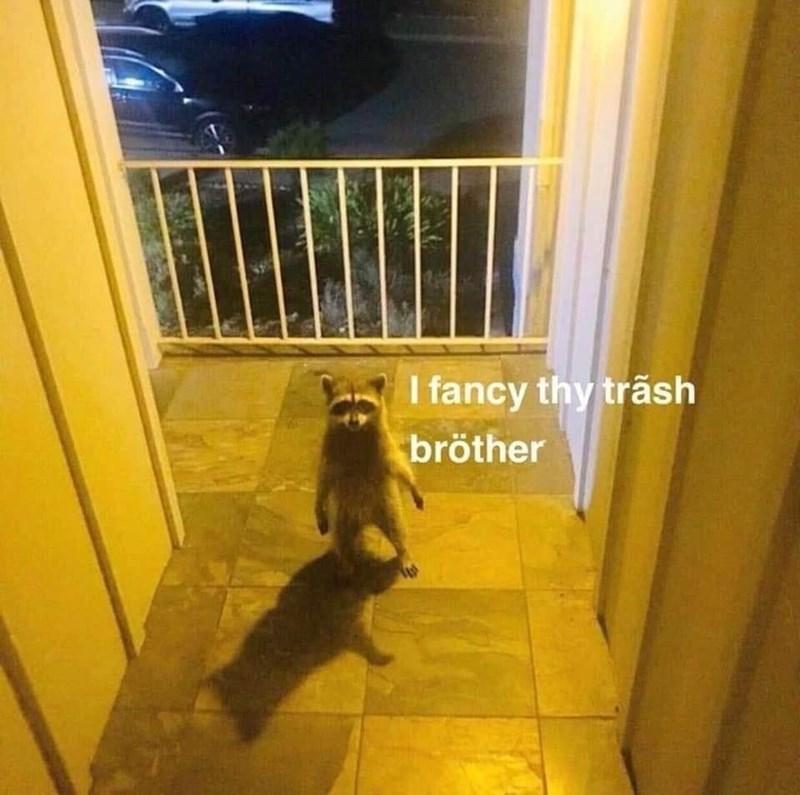 1831-fancy-thy-trash-br%C3%B6ther