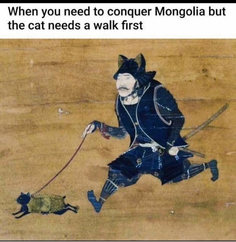 need-conquer-mongolia-but-cat-needs-walk-first