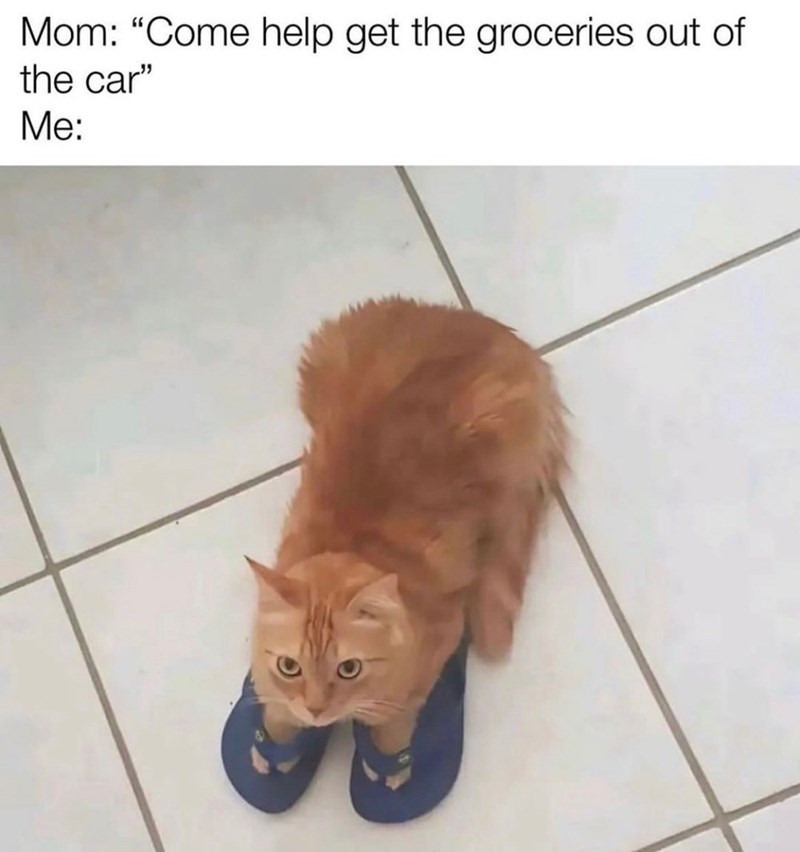 mom-come-help-get-groceries-out-car