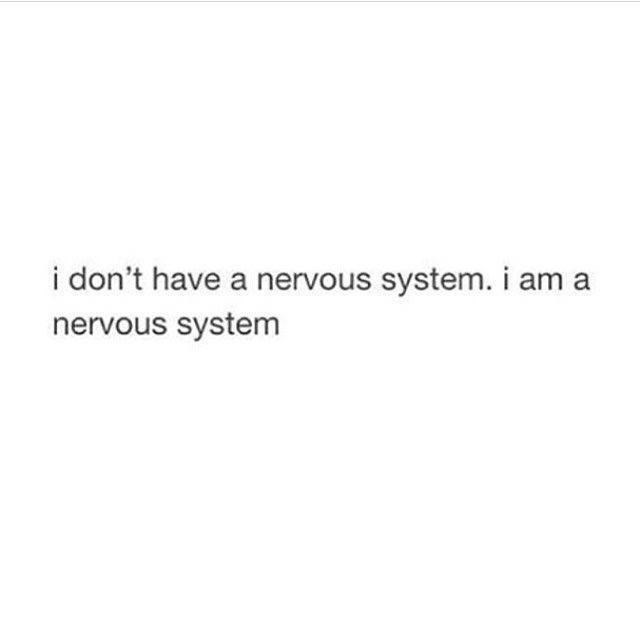 dont-have-nervous-system-am-nervous-system