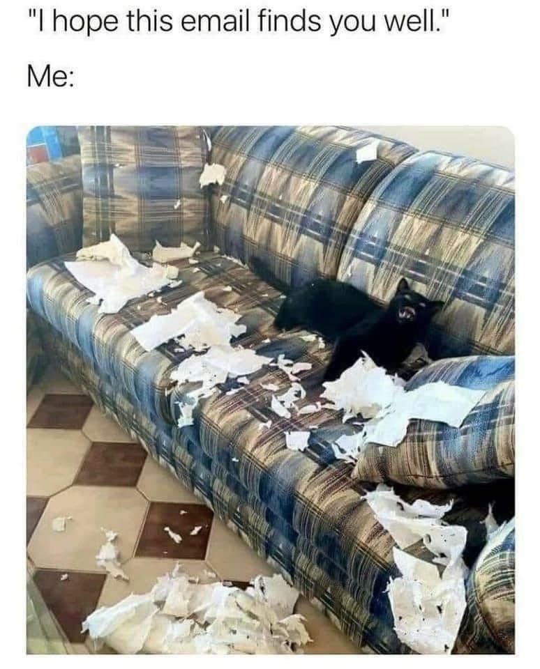 hope-this-email-finds-well