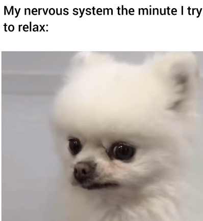 my-nervous-system-minute-try-relax