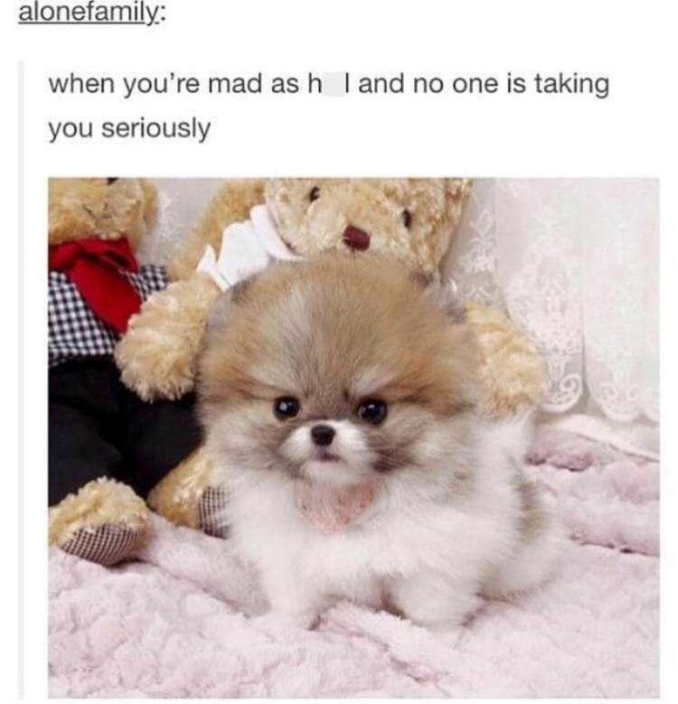 alonefamily-mad-as-h-and-no-one-is-taking-seriously