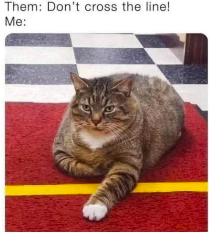 them-dont-cross-line