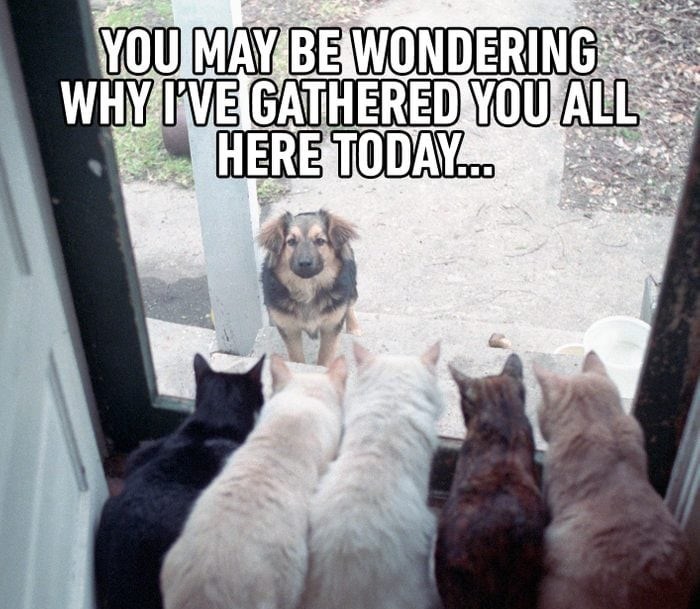 may-be-wondering-why-gathered-all-here-today