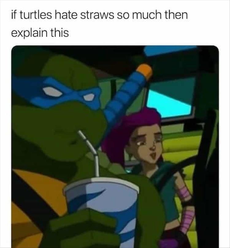 if-turtles-hate-straws-so-much-then-explain-this