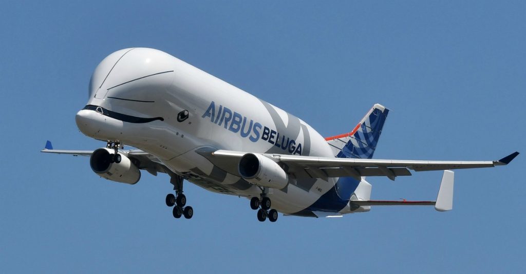 beluga-airbus-1024x535.jpg