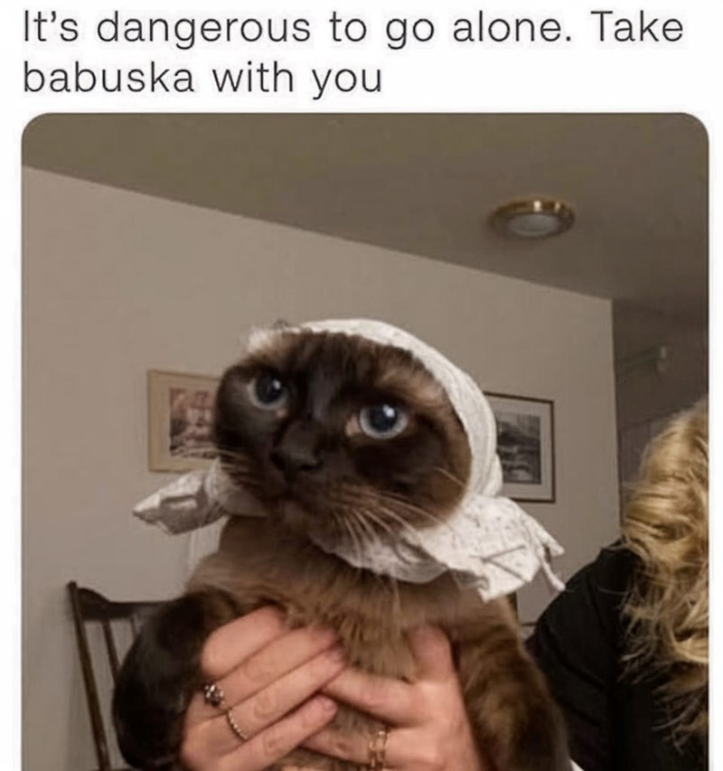 s-dangerous-go-alone-take-babuska-with