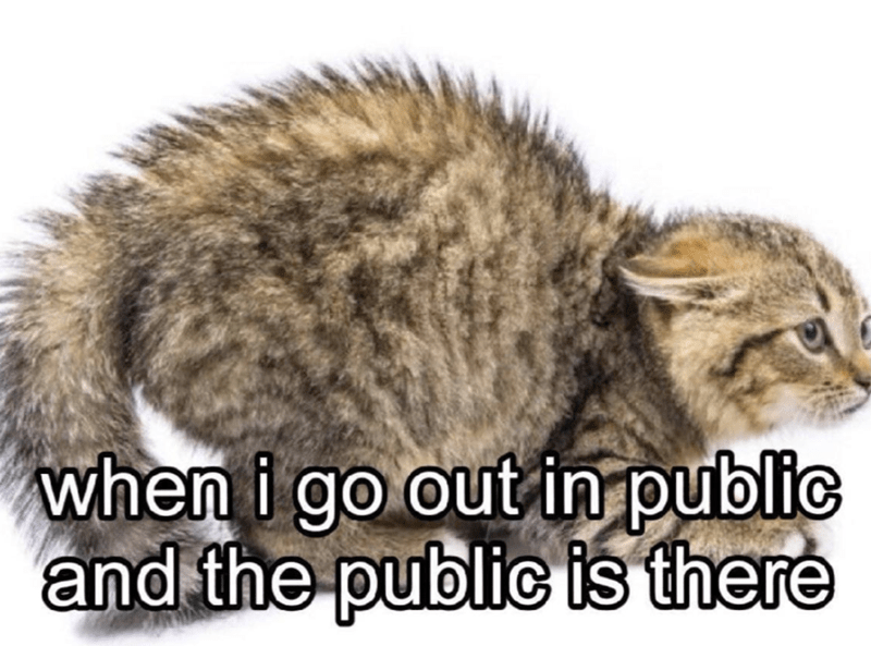 go-out-public-and-public-is-there