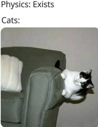physics-exists-cats