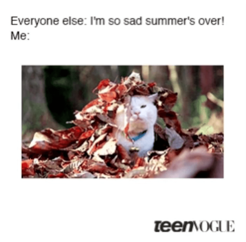 everyone-else-so-sad-summers-over-teenvogue