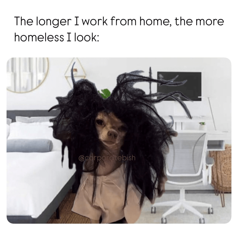 longer-work-home-more-homeless-look-scorporatebish