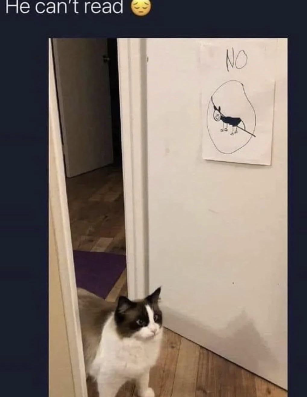 he-cant-read-no