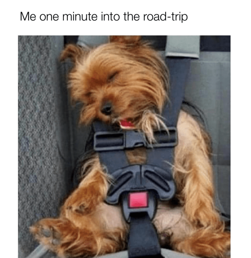 one-minute-into-road-trip