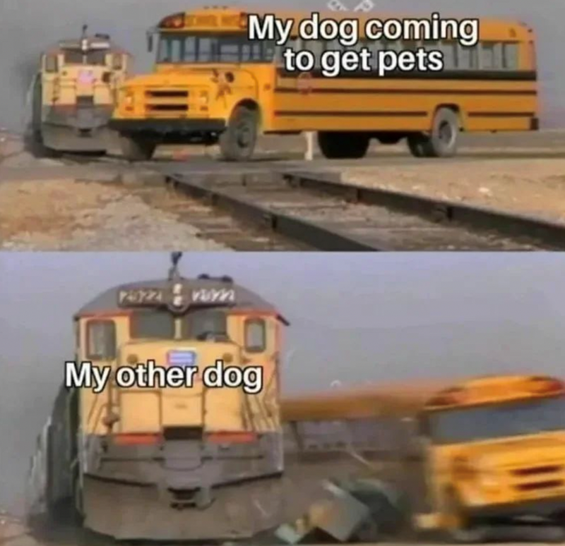 2322-my-dog-coming-get-pets-my-other-dog