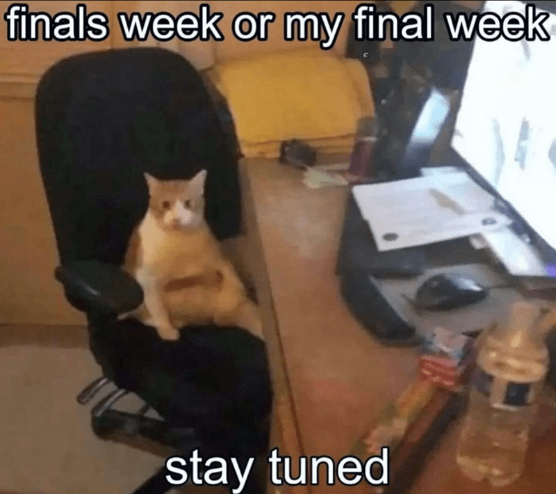 finals-week-or-my-final-week-stay-tuned