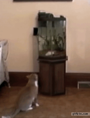 not-one-of-my-better-decisions