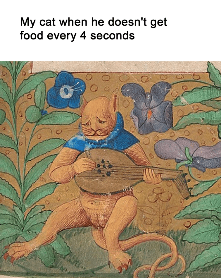 my-cat-he-doesnt-get-food-every-4-seconds-0