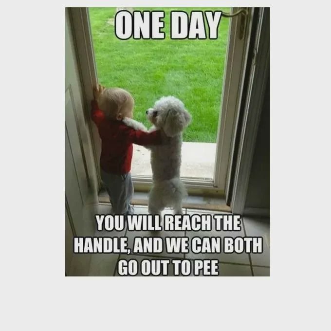 one-day-will-reach-handle-and-can-both-go-out-pee