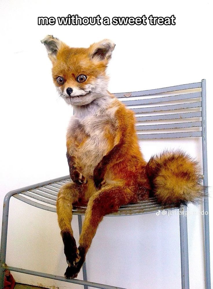 without-sweet-treat-jen-argumedo