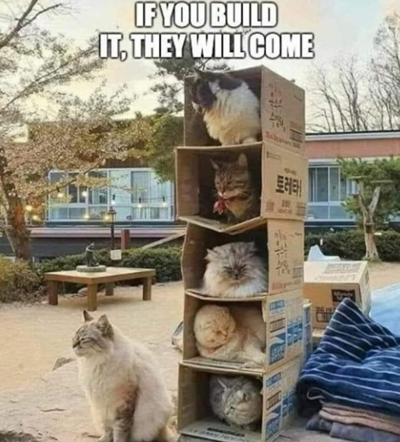 if-build-they-will-come