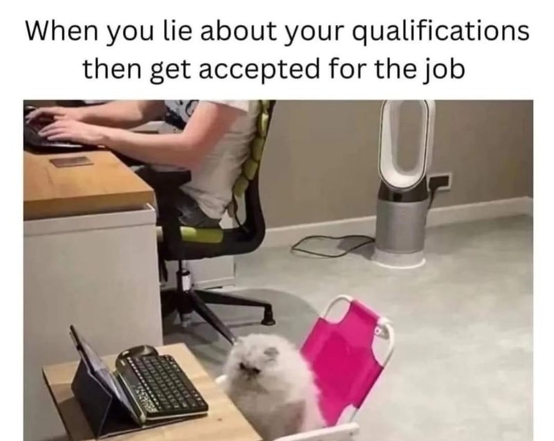 lie-about-qualifications-then-get-accepted-job