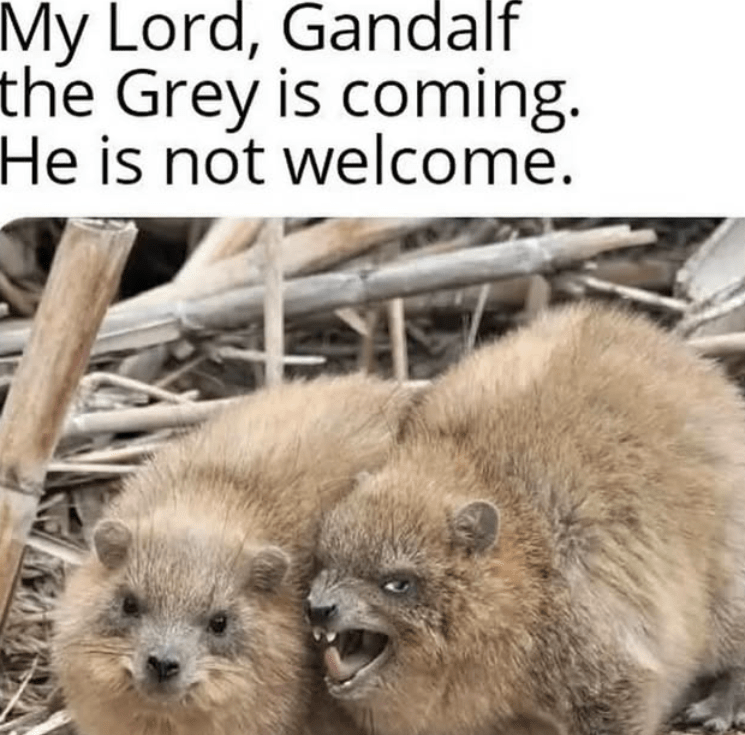 my-lord-gandalf-grey-is-coming-he-is-not-welcome